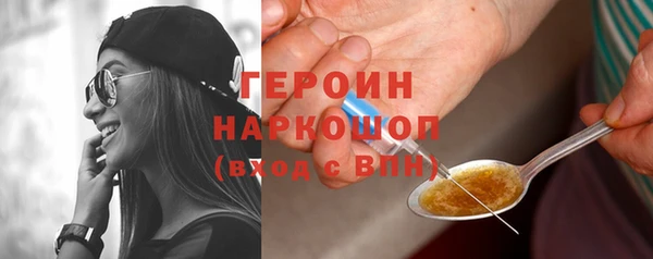 индика Инсар