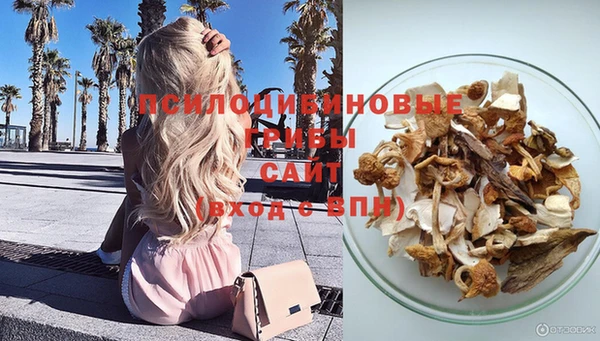 таблы Шарыпово