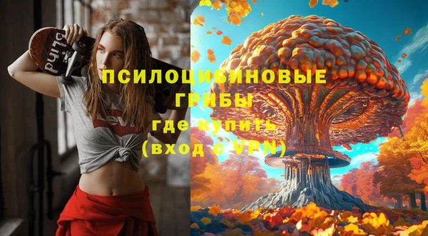 таблы Шарыпово