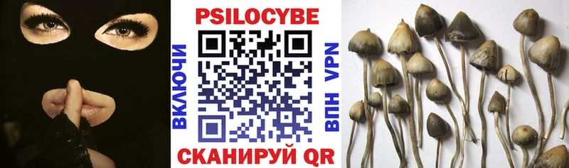 mega ССЫЛКА  Аша  Галлюциногенные грибы Cubensis 